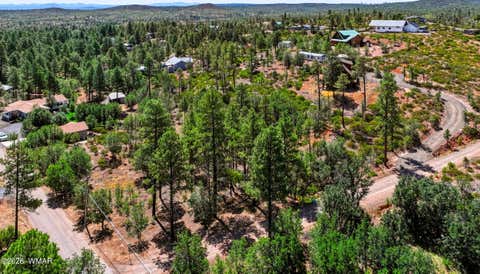 Photo of 853 Wilderness Trail, Show Low, AZ 85901 (MLS # 262213)
