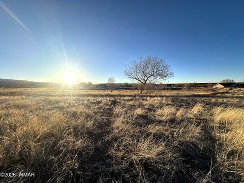 Tiny photo for TBD 3RD PLACE LOT 126, Eagar, AZ 85925 (MLS # 259284)