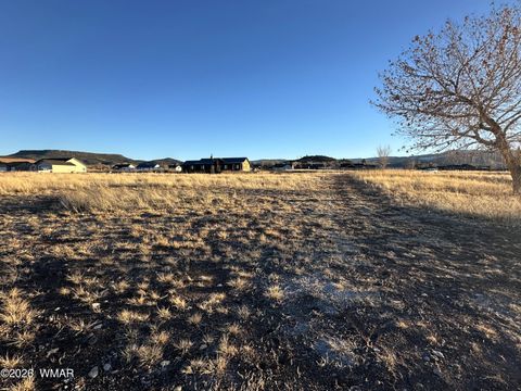 Tiny photo for TBD 3RD PLACE LOT 126, Eagar, AZ 85925 (MLS # 259284)