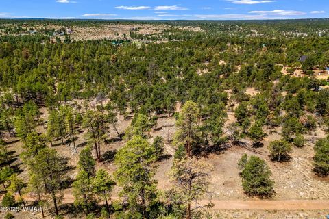 Tiny photo for PAR 007H Chevelon Rd, Heber, AZ 85928 (MLS # 259749)
