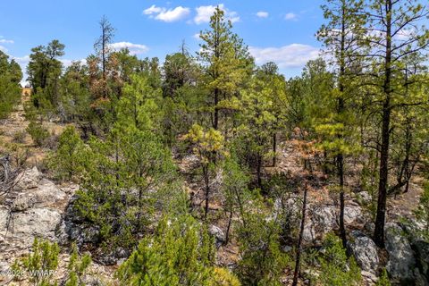 Tiny photo for PAR 007H Chevelon Rd, Heber, AZ 85928 (MLS # 259749)