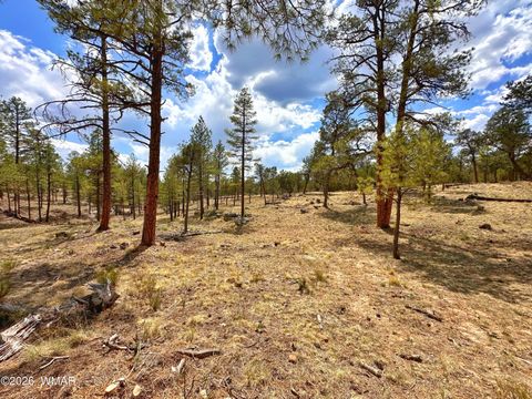 Tiny photo for PAR 007H Chevelon Rd, Heber, AZ 85928 (MLS # 259749)