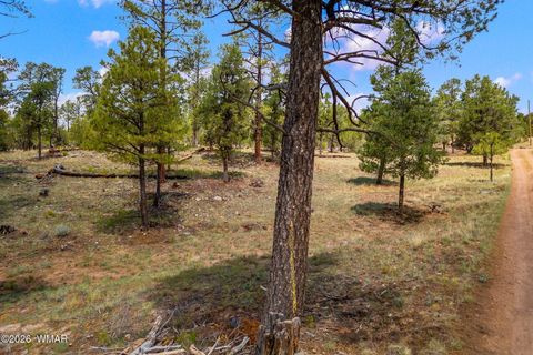 Tiny photo for PAR 007H Chevelon Rd, Heber, AZ 85928 (MLS # 259749)
