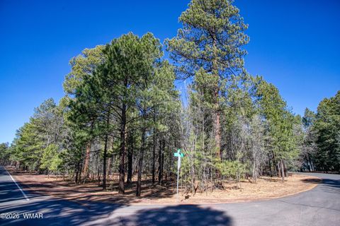 Photo of 4250 Branding Iron Loop, Pinetop, AZ 85935 (MLS # 259924)