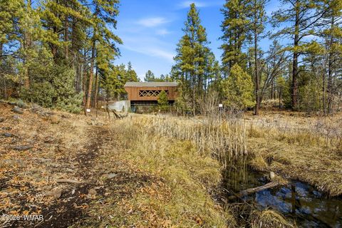 Tiny photo for 1103 W Big Spring Trail, Lakeside, AZ 85929 (MLS # 259320)