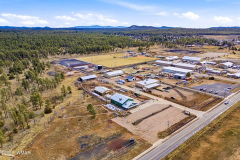 Tiny photo for 1103 W Big Spring Trail, Lakeside, AZ 85929 (MLS # 259320)