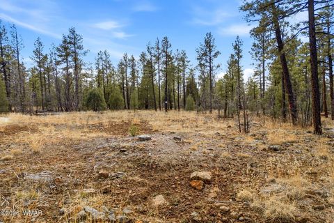 Tiny photo for 1103 W Big Spring Trail, Lakeside, AZ 85929 (MLS # 259320)