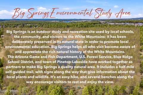 Tiny photo for 1103 W Big Spring Trail, Lakeside, AZ 85929 (MLS # 259320)