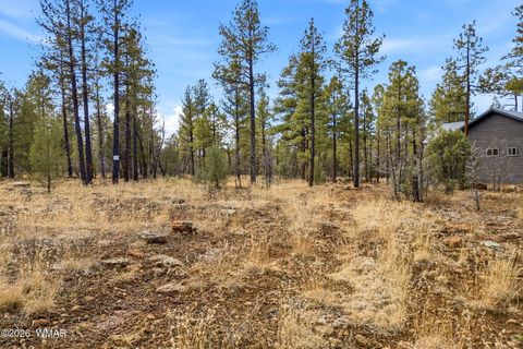 Tiny photo for 1103 W Big Spring Trail, Lakeside, AZ 85929 (MLS # 259320)