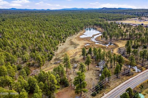 Tiny photo for 1103 W Big Spring Trail, Lakeside, AZ 85929 (MLS # 259320)