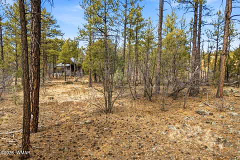 Tiny photo for 1103 W Big Spring Trail, Lakeside, AZ 85929 (MLS # 259320)