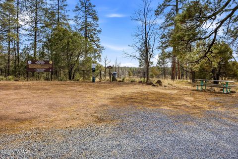 Tiny photo for 1103 W Big Spring Trail, Lakeside, AZ 85929 (MLS # 259320)