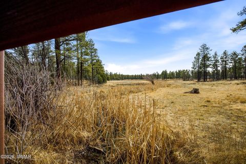 Tiny photo for 1103 W Big Spring Trail, Lakeside, AZ 85929 (MLS # 259320)