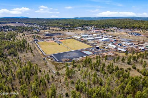 Tiny photo for 1103 W Big Spring Trail, Lakeside, AZ 85929 (MLS # 259320)