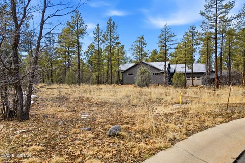 Tiny photo for 1103 W Big Spring Trail, Lakeside, AZ 85929 (MLS # 259320)