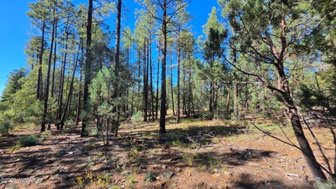 Photo of TBD N Blue Grass Ranch Drive, Lakeside, AZ 85929 (MLS # 263548)