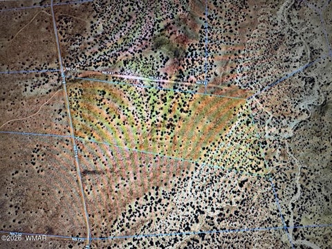 Photo of Lot 198 TBD, Saint Johns, AZ 85936 (MLS # 263317)