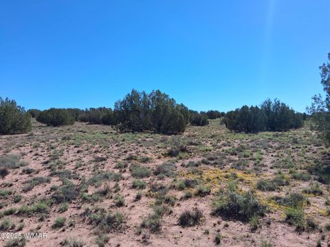 Tiny photo for 268 N 5383, Concho, AZ 85924 (MLS # 258585)