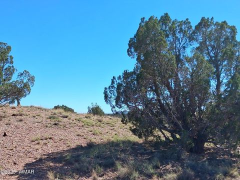 Tiny photo for 268 N 5383, Concho, AZ 85924 (MLS # 258585)