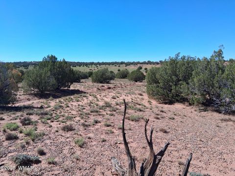 Tiny photo for 268 N 5383, Concho, AZ 85924 (MLS # 258585)