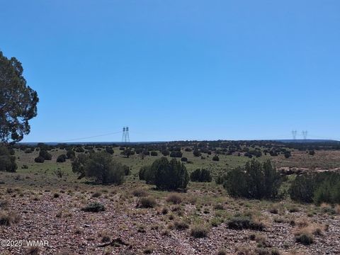 Tiny photo for 268 N 5383, Concho, AZ 85924 (MLS # 258585)