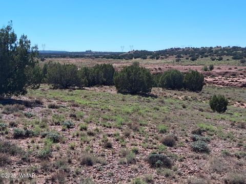 Tiny photo for 268 N 5383, Concho, AZ 85924 (MLS # 258585)