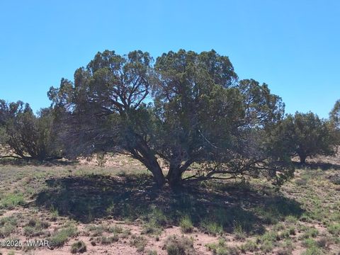Tiny photo for 268 N 5383, Concho, AZ 85924 (MLS # 258585)