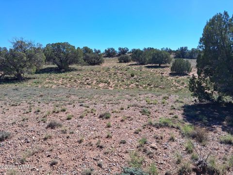 Photo of 268 N 5383, Concho, AZ 85924 (MLS # 258585)