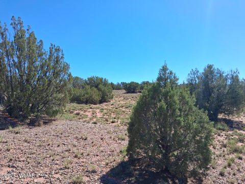 Tiny photo for 268 N 5383, Concho, AZ 85924 (MLS # 258585)