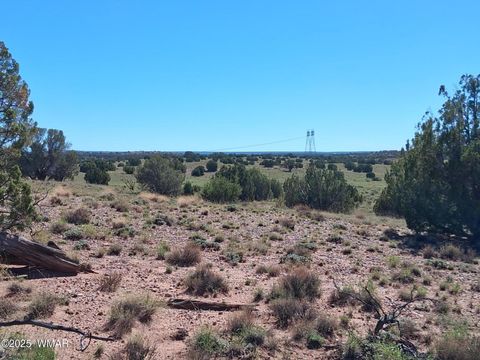Tiny photo for 268 N 5383, Concho, AZ 85924 (MLS # 258585)