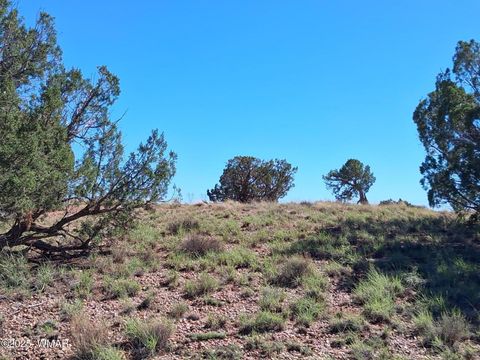 Tiny photo for 268 N 5383, Concho, AZ 85924 (MLS # 258585)