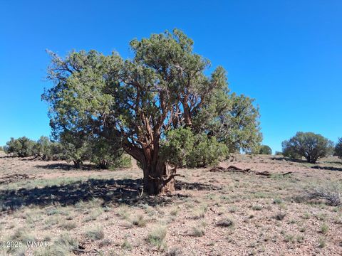 Tiny photo for 268 N 5383, Concho, AZ 85924 (MLS # 258585)