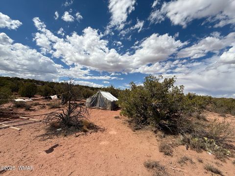 Tiny photo for 8933 Blue Jay Lane, Snowflake, AZ 85937 (MLS # 258022)