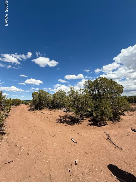 Photo of 8933 Blue Jay Lane, Snowflake, AZ 85937 (MLS # 258022)