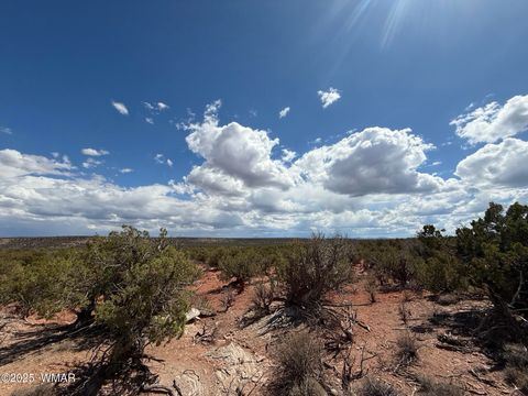 Tiny photo for 8933 Blue Jay Lane, Snowflake, AZ 85937 (MLS # 258022)