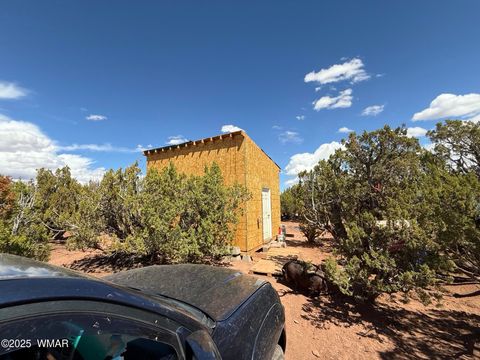 Tiny photo for 8933 Blue Jay Lane, Snowflake, AZ 85937 (MLS # 258022)