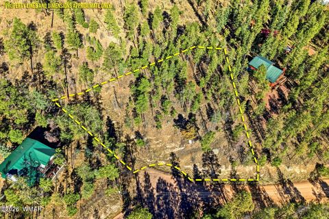 Photo of 12 W Pergatory Drive, Alpine, AZ 85920 (MLS # 260075)