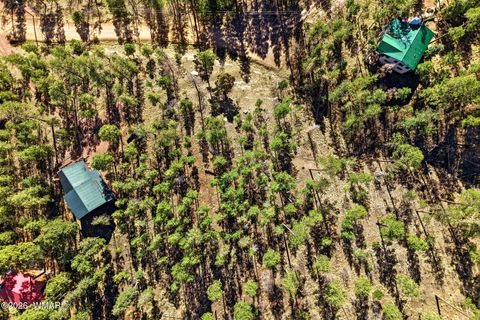 Tiny photo for 12 W Pergatory Drive, Alpine, AZ 85920 (MLS # 260075)