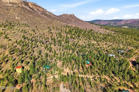 Tiny photo for 12 W Pergatory Drive, Alpine, AZ 85920 (MLS # 260075)