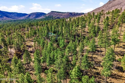 Tiny photo for 12 W Pergatory Drive, Alpine, AZ 85920 (MLS # 260075)