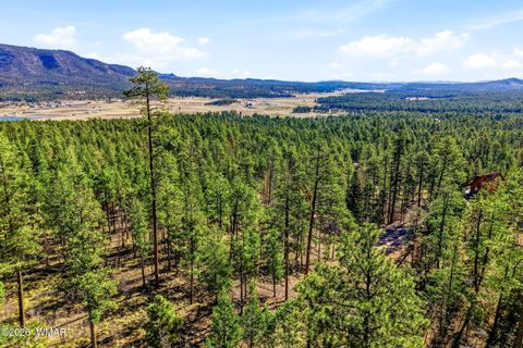 Tiny photo for 12 W Pergatory Drive, Alpine, AZ 85920 (MLS # 260075)