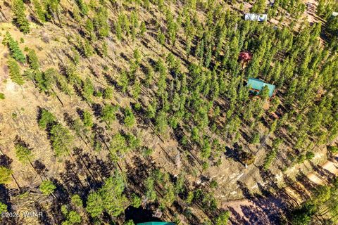 Tiny photo for 12 W Pergatory Drive, Alpine, AZ 85920 (MLS # 260075)