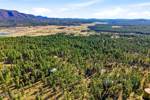 Tiny photo for 12 W Pergatory Drive, Alpine, AZ 85920 (MLS # 260075)