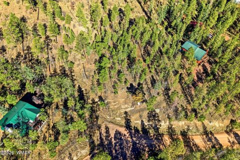 Tiny photo for 12 W Pergatory Drive, Alpine, AZ 85920 (MLS # 260075)