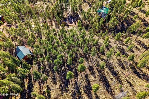 Tiny photo for 12 W Pergatory Drive, Alpine, AZ 85920 (MLS # 260075)