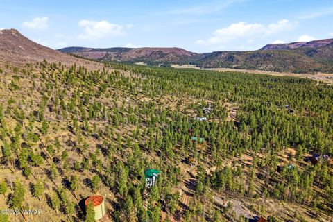 Tiny photo for 12 W Pergatory Drive, Alpine, AZ 85920 (MLS # 260075)