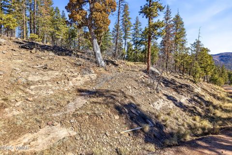 Tiny photo for 12 W Pergatory Drive, Alpine, AZ 85920 (MLS # 260075)