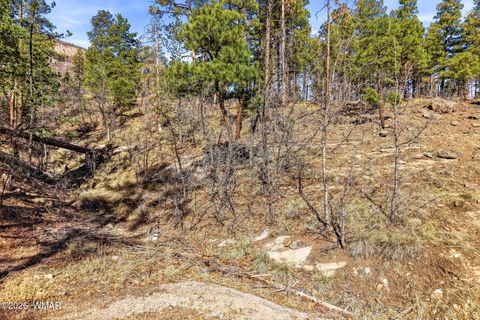 Tiny photo for 12 W Pergatory Drive, Alpine, AZ 85920 (MLS # 260075)