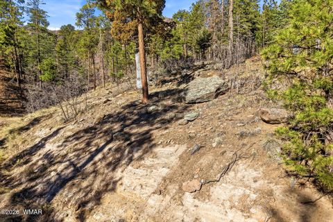 Tiny photo for 12 W Pergatory Drive, Alpine, AZ 85920 (MLS # 260075)