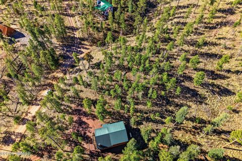 Tiny photo for 12 W Pergatory Drive, Alpine, AZ 85920 (MLS # 260075)